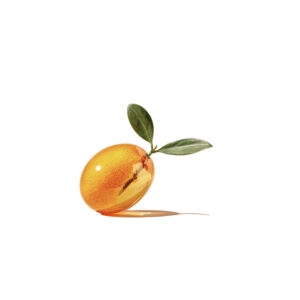 Glass Kumquat